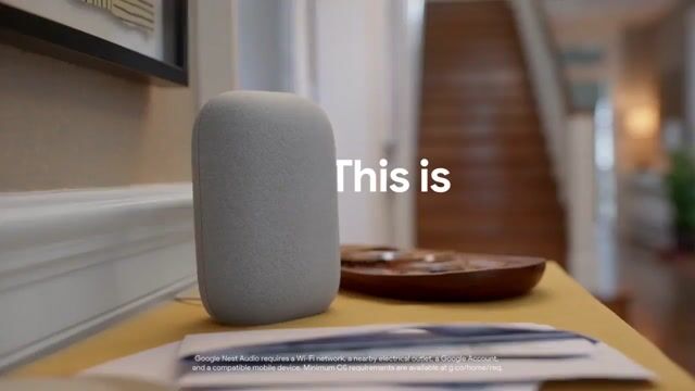 Assistant vocal Google Nest Audio Charbon