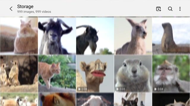 Galaxy A51 128 GB, Negro, desbloqueado