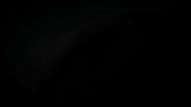DYMO LabelWriter ? 450 DUO