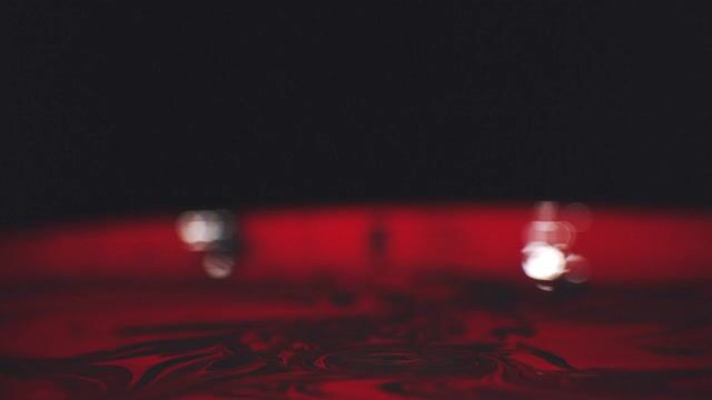 Turtle Beach Recon 70 Cuffie con archetto cablato Nero, Verde